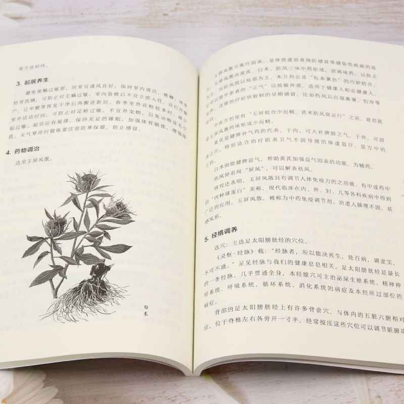 TCM Body Constitution Types Bo - огляд і ціна Health Wellness Guide