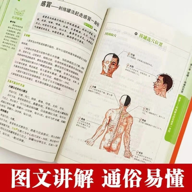 Holistic Health & Wellness Ser - огляд і ціна Health Wellness Guide